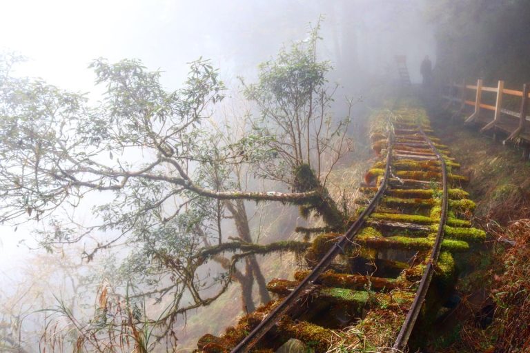 Taipingshan Travel Guide 太平山 – Discover Yilan’s Amazing Mountain Scenery